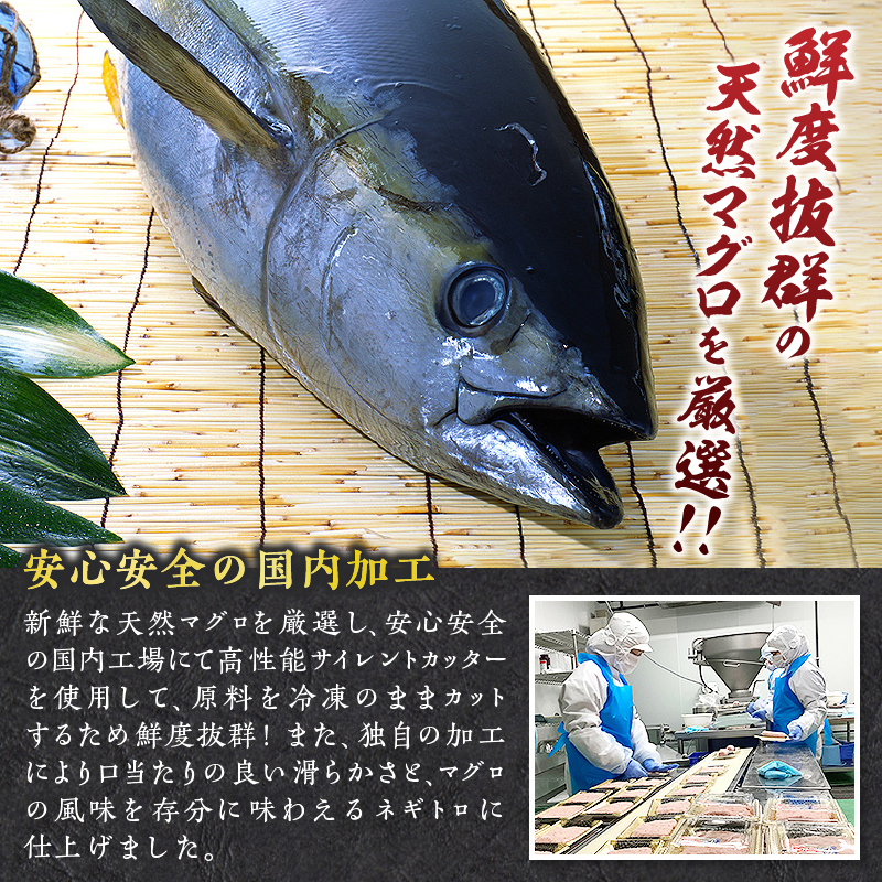 a19-045縲縺ュ縺弱→繧100g28シー