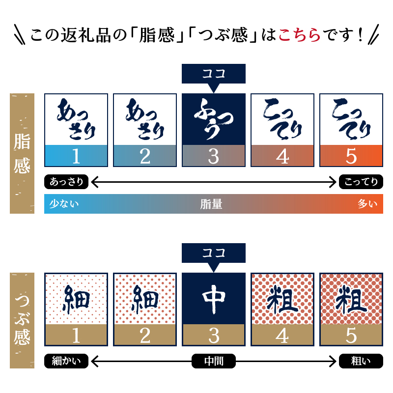 a19-045縲縺ュ縺弱→繧100g28シー