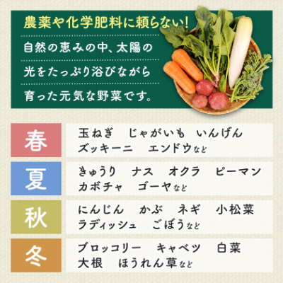 【毎月定期便】しあわせ野菜畑の有機野菜　Mセット　(安心の有機JAS認証　オーガニック野菜)全6回【配送不可地域：離島・北海道・沖縄県・四国・九州】【4066007】
