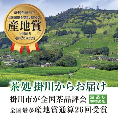 特上深蒸し掛川茶「健康長寿の里 掛川」100g×5本セット【配送不可地域：離島・沖縄県】【1650540】