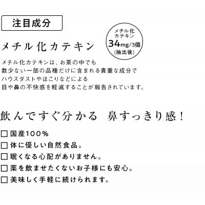 べにふうき緑茶ティーバッグ 2袋　日本茶きみくら【5897】【配送不可地域：離島・沖縄県】【1603816】