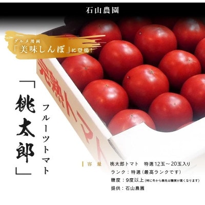 【特選】トマト美味しんぼに登場した『桃太郎』12〜20玉 ランク:特選　糖度9度以上【配送不可地域：離島・沖縄県】【1604237】