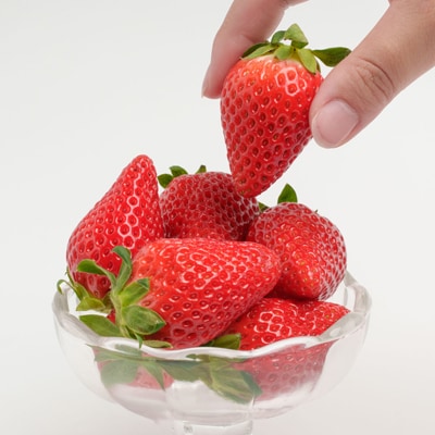 静岡県掛川市産　ミズノ農園の完熟いちご「すずの薫り」　約280g×4パック【配送不可地域：離島・北海道・沖縄県・東北・中国・四国・九州】【1490919】