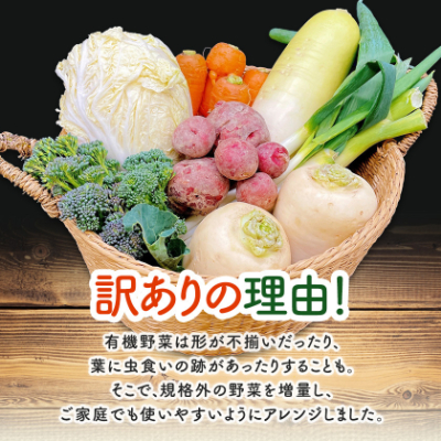 しあわせ野菜畑のシェフLセット　(訳あり規格外の有機野菜を一部使用)【配送不可地域：離島・北海道・沖縄県・四国・九州】【1608189】