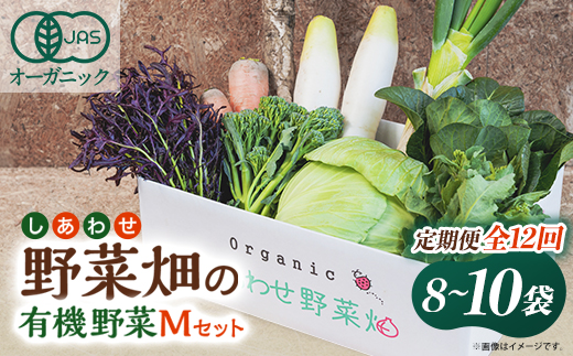 【毎月定期便】しあわせ野菜畑の有機野菜　Mセット　(安心の有機JAS認証　オーガニック野菜)全12回【配送不可地域：離島・北海道・沖縄県・四国・九州】【4066006】