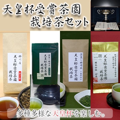 天皇杯受賞茶園栽培茶セット【配送不可地域：離島・沖縄県】【1177668】