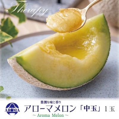 【通年出荷】アローマメロン 白等級(中玉) 1玉入【配送不可地域：離島・北海道・沖縄県】【1170108】