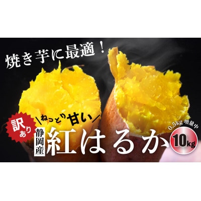 さつまいも(べにはるか) 10kg【配送不可地域：離島・北海道・沖縄県】【1592857】