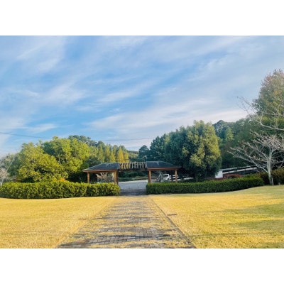 お墓参り代行(拭き掃除、墓花一組)【市外居住者のみ・富士見台霊園限定】【配送不可地域：離島・沖縄県】【1688089】