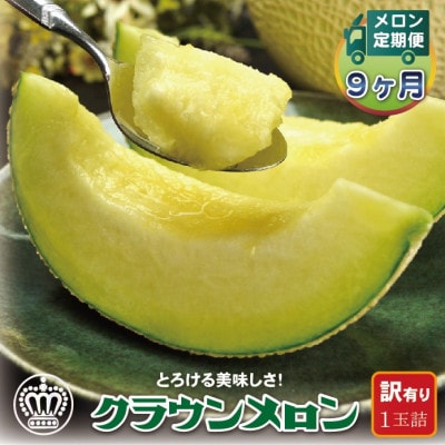【毎月定期便】【訳あり】クラウンメロン 1玉 全9回【配送不可地域：離島・北海道・沖縄県】【4069734】