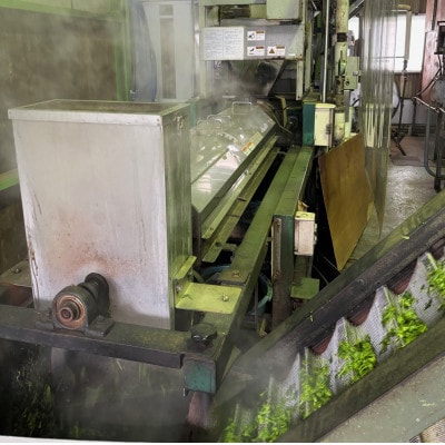 畑仕事から茶仕上げまで一貫造り　香味満々茶　茶草場農法　深蒸し掛川茶(100g×5袋)ギフト箱入1個【配送不可地域：離島・沖縄県】【1582204】