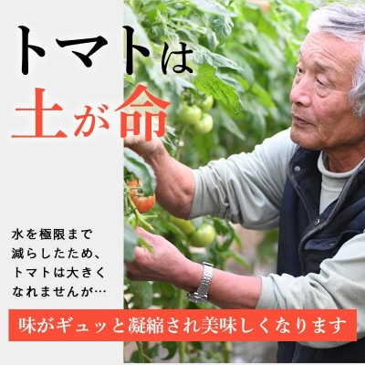 ãç¹éžãããã çŸå³ãããŒã«ç»å Žããããããæ¡å€ªéã倧箱 28çã42çãã©ã³ã¯:ç¹éžãç³åºŠ9床以äžãé
éäžå¯å°åïŒé¢å³¶ã»æ²çžçãã1604235ã