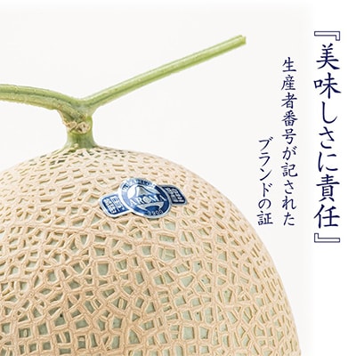 【毎月定期便】アローマメロン白等級(中玉) 1玉 全12回【配送不可地域：離島・北海道・沖縄県】【4013018】