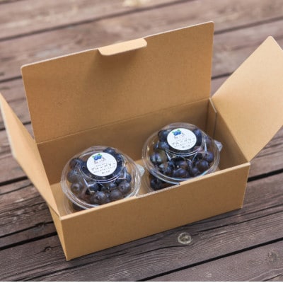 2026幎çºéãããŠã¹æ œå¹ãå£ç¯éå®ã®åœç£ãçãã«ãŒããªãŒã倪éœã®æµã¿ãæ²¢å±±æµŽã³æ°é®®ã§å€§ç²ããé
éäžå¯å°åïŒé¢å³¶ã»åæµ·éã»æ²çžçã»ååœã»ä¹å·ãã1374926ã