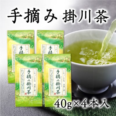 天皇杯を受賞した掛川中央茶業で製造した希少な手摘み掛川茶4袋セット【配送不可地域：離島・沖縄県】【1317190】