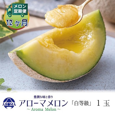 【毎月定期便】アローマメロン(白等級) 1玉 全12回【配送不可地域：離島・北海道・沖縄県】【4013003】