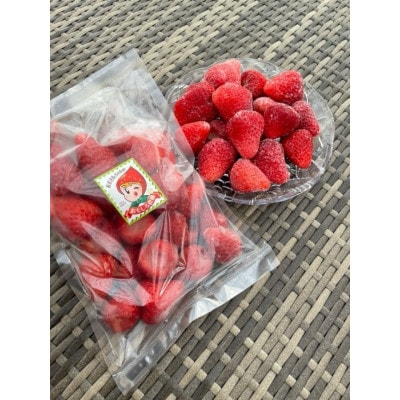 紅ほっぺ 冷凍いちご500g×4袋 計2kg【配送不可地域：離島・北海道・沖縄県・四国・九州】【1732414】