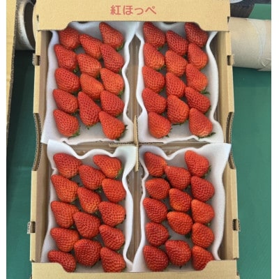 紅ほっぺ280g×4パック　おいしい完熟いちご【配送不可地域：離島・北海道・沖縄県・四国・九州】【1710614】