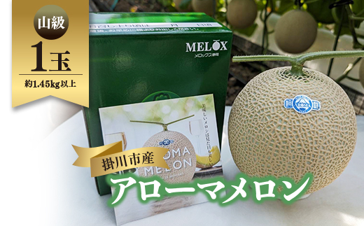 静岡暗室マスクメロン アローマ印　　　　　山級約1.45kg以上　1玉【配送不可地域：離島・北海道・沖縄県】【1502111】