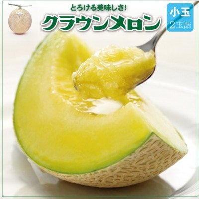 【通年出荷】クラウンメロン(小玉) 2玉詰【配送不可地域：離島・北海道・沖縄県】【1486520】