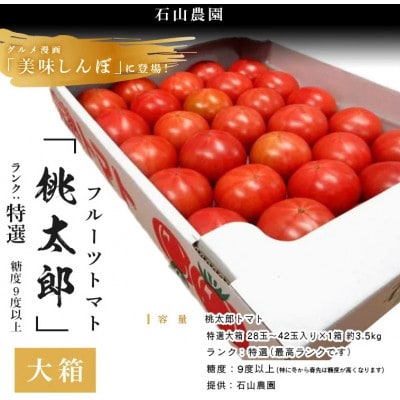 【特選】トマト 美味しんぼに登場したトマト「桃太郎」大箱 28玉〜42玉　ランク:特選　糖度9度以上【配送不可地域：離島・沖縄県】【1604235】