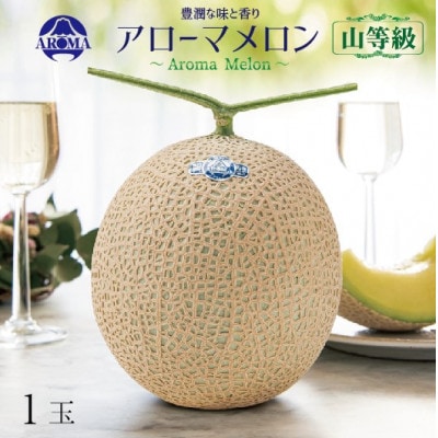 【通年出荷】アローマメロン(山等級) 1玉入【品格溢れる高級品】【配送不可地域：離島・北海道・沖縄県】【1170113】
