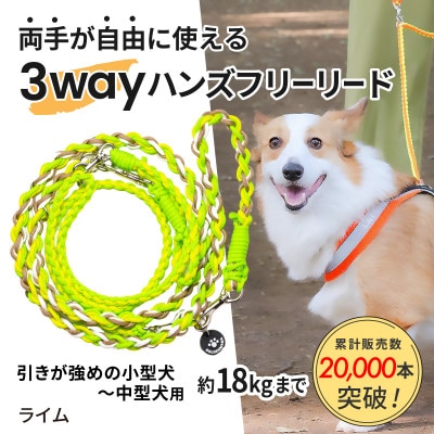 ãç¬çšã3WAYãã³ãºããªãŒãªãŒã(åŒãã匷ãã®å°åãäžåç¬)ã©ã€ã ããŽãŒã«ãã³ããããé
éäžå¯å°åïŒé¢å³¶ã»æ²çžçãã1743154ã