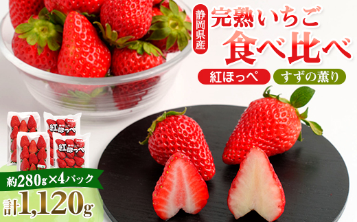静岡県掛川市産　ミズノ農園の完熟いちご「紅ほっぺ」「すずの薫り」2種各2パック食べ比べセット【配送不可地域：離島・北海道・沖縄県・東北・中国・四国・九州】【1490920】
