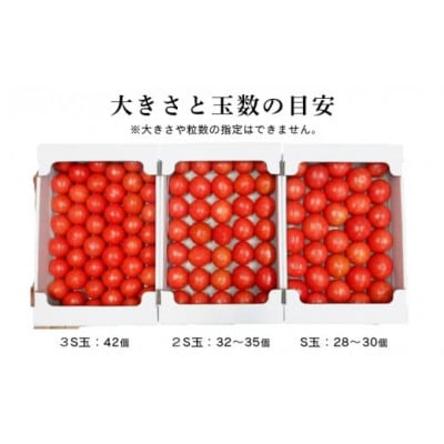 ãç¹éžãããã çŸå³ãããŒã«ç»å Žããããããæ¡å€ªéã倧箱 28çã42çãã©ã³ã¯:ç¹éžãç³åºŠ9床以äžãé
éäžå¯å°åïŒé¢å³¶ã»æ²çžçãã1604235ã