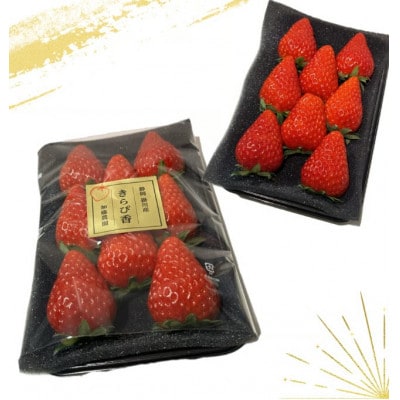 ãå
è¡åä»ããã¡ãããããŽéŠã1ç®± (1ç®±4ããã¯å
¥ã çŽ250gÃ4)ãé
éäžå¯å°åïŒé¢å³¶ã»åæµ·éã»æ²çžçã»ååœã»ä¹å·ãã1634075ã