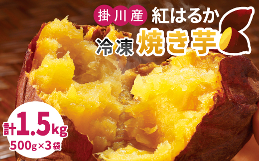 生まれも育ちも掛川産 紅はるか 冷凍焼き芋セット 500g×3袋【配送不可地域：離島・北海道・沖縄県・四国・九州】【1624952】