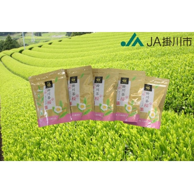 掛川茶ティーバッグ桜　5袋セット(1袋20個入)【配送不可地域：離島・沖縄県】【1718374】