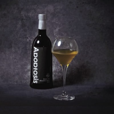 世界農業遺産に認められた茶葉を味わう最高級ボトリングティー | Apoptosis N【配送不可地域：離島・北海道・沖縄県・四国・九州】【1619137】