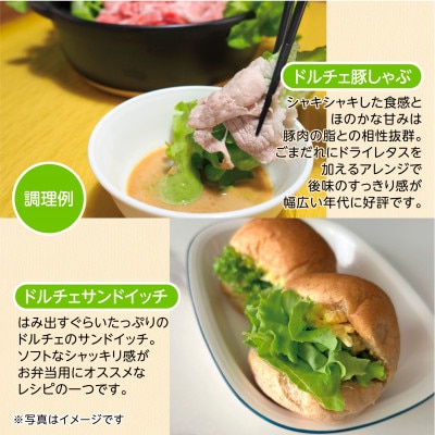 【こだわりの1種×6株】山里の湧き水で育った「掛川ラットューガ・ドルチェ」【配送不可地域：離島・北海道・沖縄県・四国・九州】【1695650】