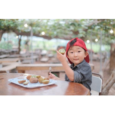 農園直送!訳アリキウイフルーツ2kg〜2.4kg(24個〜30個)【配送不可地域：離島・北海道・沖縄県・四国・九州】【1705165】