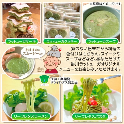 【掛川産】リーフレタスパウダー50g【配送不可地域：離島・沖縄県】【1701414】