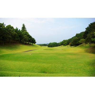 静岡よみうりカントリークラブ ゴルフ・プレー補助券　3,000ポイント分【配送不可地域：離島・沖縄県】【1600014】