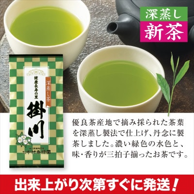 【新茶予約・令和8年度産】特上掛川茶「健康長寿の里 掛川」100g×5本セット　5月上旬頃〜発送【配送不可地域：離島・沖縄県】【1721705】