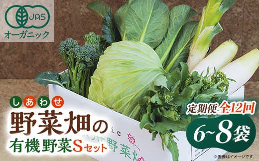 【毎月定期便】しあわせ野菜畑の有機野菜　Sセット　(安心の有機JAS認証　オーガニック野菜)全12回【配送不可地域：離島・北海道・沖縄県・四国・九州】【4065992】