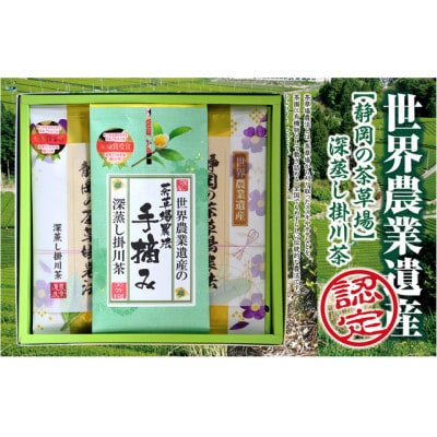 世界農業遺産 静岡の茶草場農法 深蒸し掛川茶(手摘み60g×1袋・掛川茶100g×2袋)ギフトセット【配送不可地域：離島・沖縄県】【1620462】