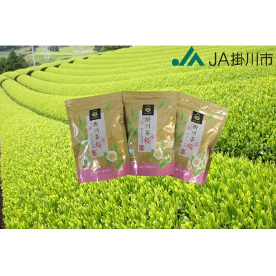 掛川茶ティーバッグ桜　3袋セット(1袋20個入)【配送不可地域：離島・沖縄県】【1718371】