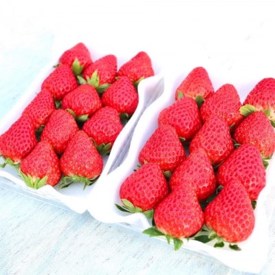 紅ほっぺ 　約280g×4パック【配送不可地域：離島・北海道・沖縄県・四国・九州】【1704707】