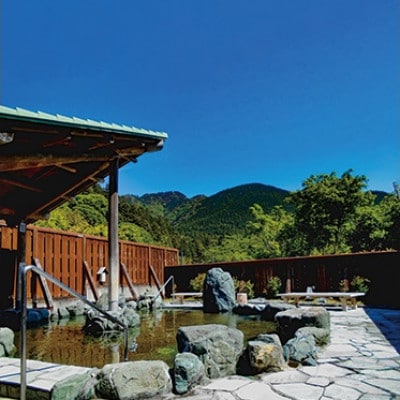 天然温泉「ならここの湯」入湯券 11枚【配送不可地域：離島・沖縄県】【1715959】