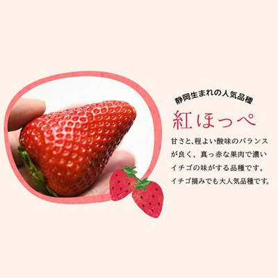 縲千匱騾∵怦蝗コ螳壼ョ壽悄萓ソ縲鷹撕蟯。逵檎肇縺縺。縺斐蜴ウ驕ク縲檎エ縺サ縺」縺コ縲4繝代ャ繧ッ繧サ繝繝(邏1.2kg)蜈ィ3蝗槭宣埼∽ク榊庄蝨ー蝓滂シ夐屬蟲カ繝サ蛹玲オキ驕薙サ豐也ク逵後サ譚ア蛹励サ荳ュ蝗ス繝サ蝗帛嵜繝サ荵晏キ槭代4079587縲