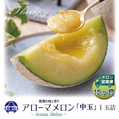 【毎月定期便】アローマメロン白等級(中玉) 1玉 全12回【配送不可地域：離島・北海道・沖縄県】【4013018】
