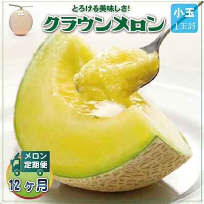 【毎月定期便】クラウンメロン 白等級 小玉1玉 静岡県産 高級 マスクメロン【1年中お届け】全12回【配送不可地域：離島・北海道・沖縄県】【4012653】