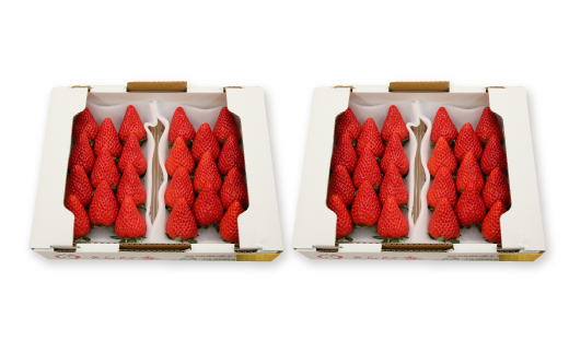 きらぴ香セット(4パック　約1040g)　酸味は控えめで濃厚な甘さのおいしいいちご【配送不可地域：離島・北海道・沖縄県・四国・九州】【1676905】