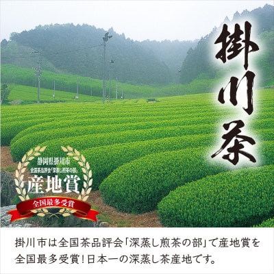 ＜2026年新茶・先行受付＞高級掛川茶「掛川の匠」100g×3本セット　お茶の葛野　5月上旬発送予定【配送不可地域：離島・沖縄県】【1721736】
