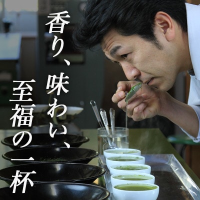 深蒸し掛川茶「かけがわ育ちW」100g×4袋セット【配送不可地域：離島・沖縄県】【1091968】