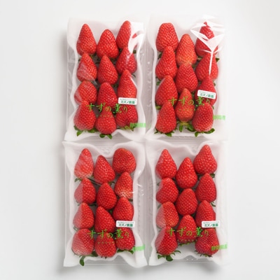 静岡県掛川市産　ミズノ農園の完熟いちご「すずの薫り」　約280g×4パック【配送不可地域：離島・北海道・沖縄県・東北・中国・四国・九州】【1490919】